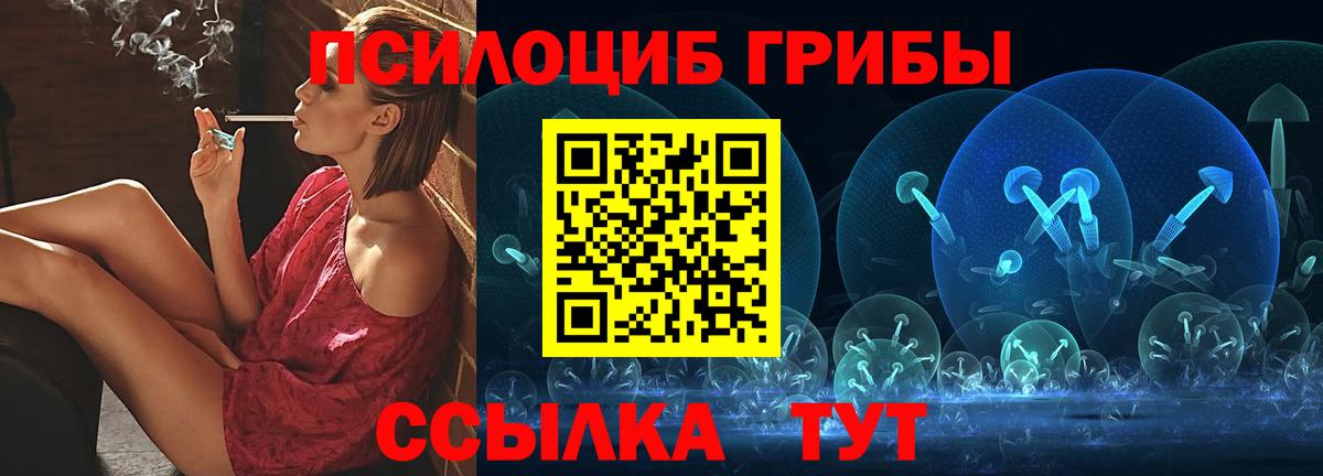 Грозный  сколько стоит  Вход с VPN  Галлюциногенные грибы Cubensis  Галлюциногенные грибы мицелий 
